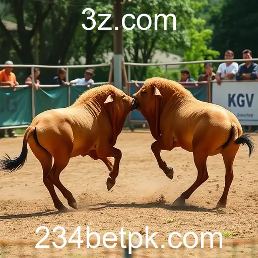 Rinha de Galos e Seu Impacto na Sociedade: Um Olhar Detalhado